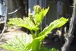 ������������� �����������