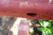 ������������� �����������
