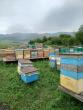 ������������� �����������